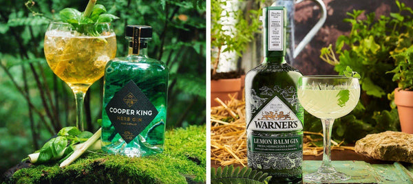 Top 10 Best Flavoured Gins Crafted by Independent British Brands-Lassou