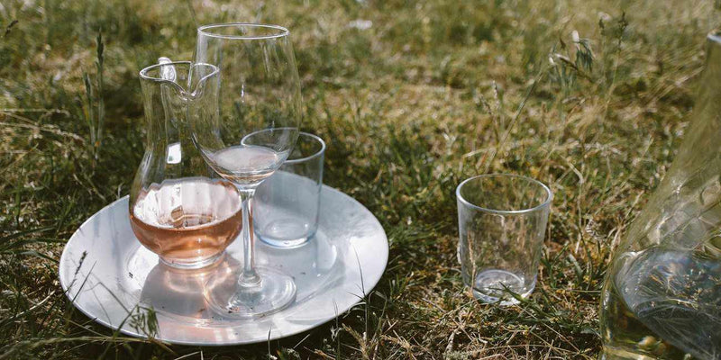 Drink Pink - All You Need to Know About Rosé