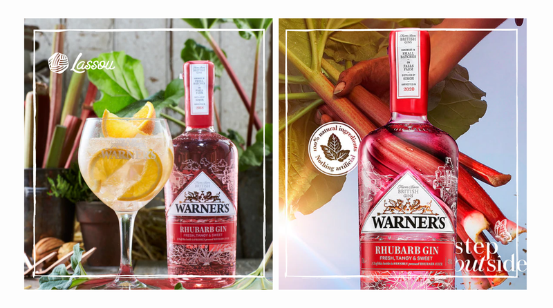 3 Must Mix Summertime Cocktails Made with Warner's Rhubarb Gin | Lassou Blog
