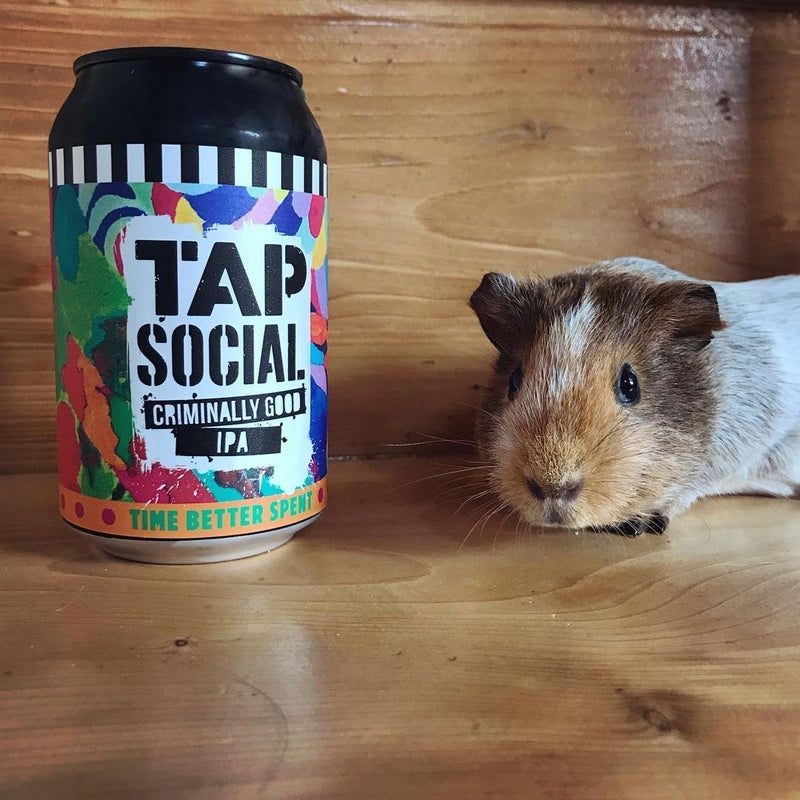 Tap Social Movement-Gift Selection - IPA, Lager, Stout-Cans-8-Lassou