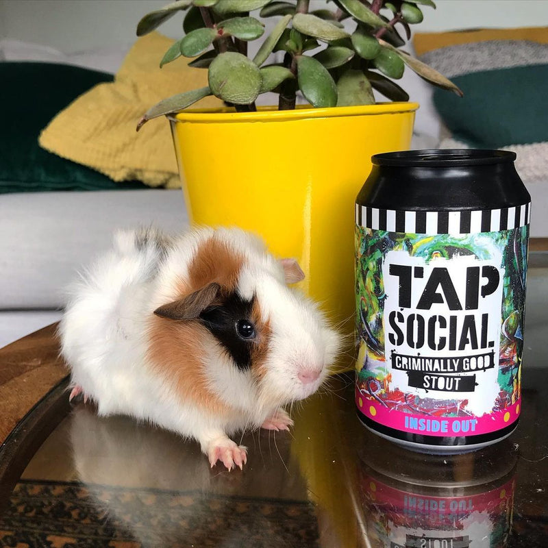 Tap Social Movement-Gift Selection - IPA, Lager, Stout-Cans-9-Lassou