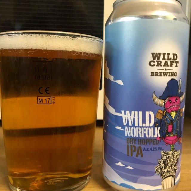 No Nonsense 12 Pack – Wildcraft Brewery